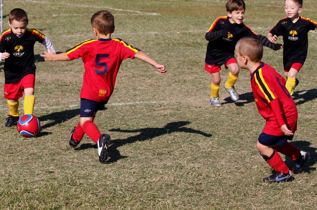Newcastle Council Allocates $4.8 Million for Community Services in 2026-27
