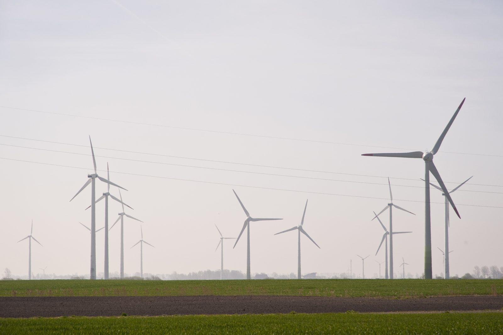 Newcastle's Clean Energy Tech Scene Punches Above Its Weight Globally