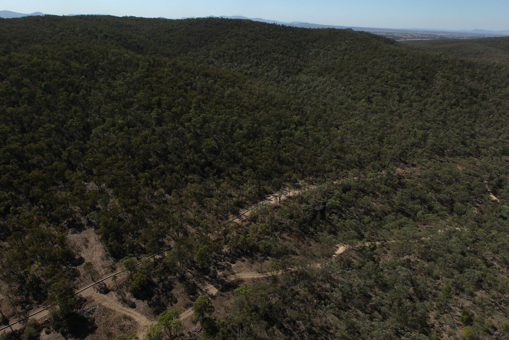 The next frontier: Why this overlooked Newcastle suburb is on the cusp of rezoning